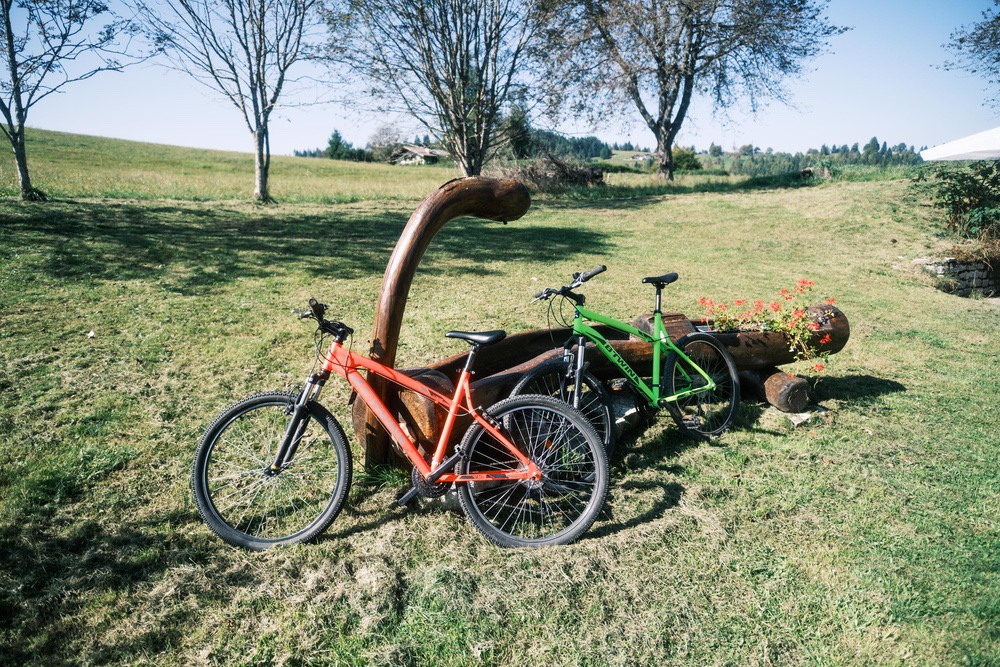 MASO PINO-74 Chalet Maso Pino