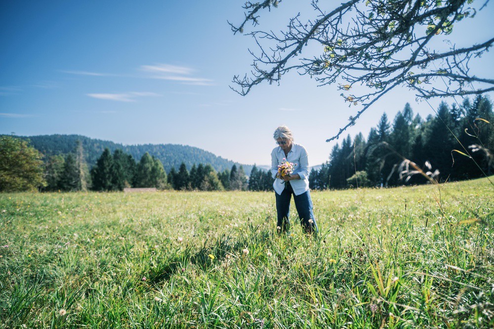 MASO PINO-80 Chalet Maso Pino