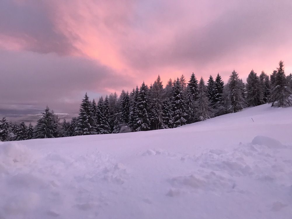 Maso Pino0006 Chalet Maso Pino