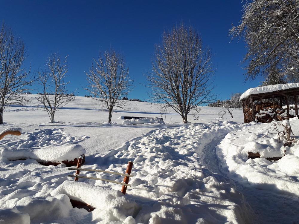 Maso Pino0038 Chalet Maso Pino